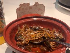宁式炒鳝丝（约250克）-申粤轩酒楼·三十年粤菜经典(丁香花园店)