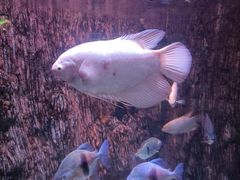 -多彩贵州城极地海洋世界