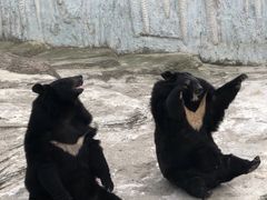 -大连森林动物园