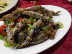 -蛇口康乐快餐鱼仔档(翠苑小区店)