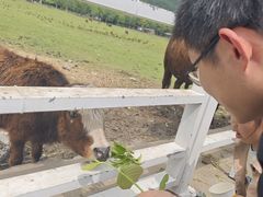 -宝业会稽山高尔夫俱乐部