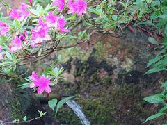-山沟沟景区