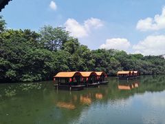 -侨美·唐荔园·40年地道粤菜