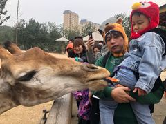 -大连森林动物园