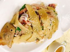 -广宁炭炉鸡煲·富临门饭店