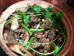 -鲤鱼塘农家山庄