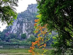 -星湖旅游景区七星岩