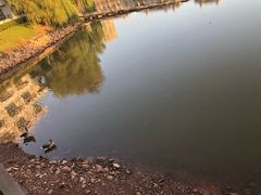 -黄山香茗国际酒店