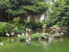 -九龙公园