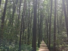 -同里国家湿地公园