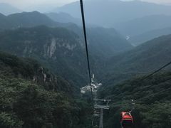 缆车十分钟车程-牛背梁国家森林公园