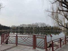 -沂蒙山旅游区云蒙景区(蒙山国家森林公园)