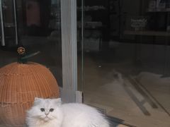 -张钰强中医正骨推拿连锁(唐家人才公寓店)