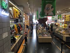 -line friends(明洞旗舰店)