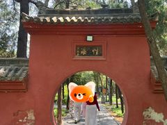 -洛阳白马寺