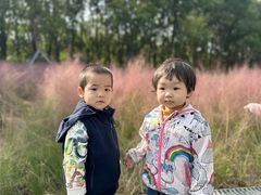 -昆山城市生态森林公园