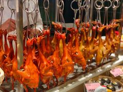 -鸽子侯·家宴·平价海鲜(市图书馆店)