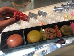 玫瑰马卡龙-Sweety Fairy小蜜蜂蛋糕&下午茶(大柏树店)