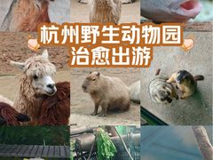 -杭州野生动物世界