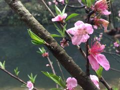 -常德桃花源景区