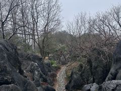 -千岛湖石林