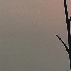 -凡碧诗毛孔收细