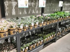 -鹿岛会员店 (龙湖三千集天街店)