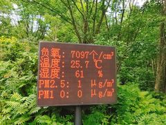 -五营国家森林公园