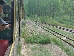 -合肥滨湖国家森林公园