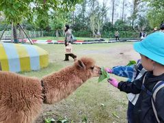 -前小桔亲子创意农场·草莓采摘·露营烧烤