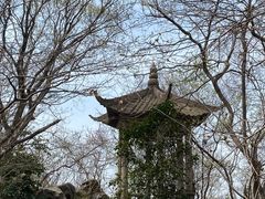 -紫金山山顶公园