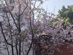 -乌山风景区