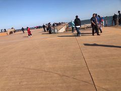 -东疆建设开发纪念公园