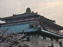 -武汉大学-樱园