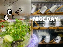 -野草莓自由市场