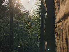 -缙云山景区