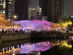 -西北湖绿化广场