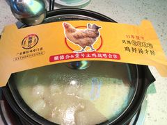 -顺德公广东猪肚鸡·煲仔饭(白石洲店)