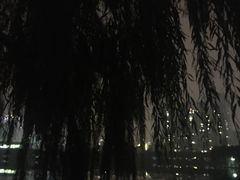 -西北湖绿化广场