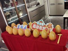 -索菲亚衣柜橱柜全屋定制(真北红星店)