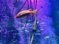 -沈阳海洋探索中心