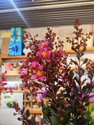 -今日陶艺(富力广场店)