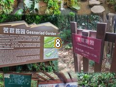 -深圳仙湖植物园