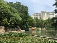 -西苑公园