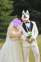 -保定巴黎婚纱摄影
