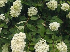 -皇城恒隆广场