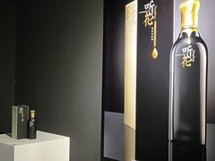 -成都许燎源现代设计艺术博物馆