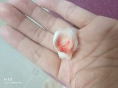 -中华人民共和国商务部国际贸易经济合作研究院