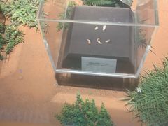 -北京周口店北京人遗址博物馆