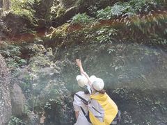 -龙窝子